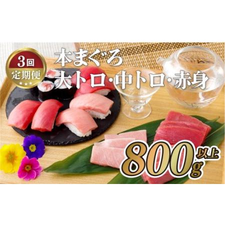 ふるさと納税 【全3回定期便】長崎県産 本まぐろ 3種セット  ( 大トロ 中トロ 赤身 ) 総計8...