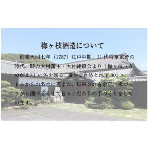 ふるさと納税 樽貯蔵麦焼酎オーナー制一升瓶オリ...の詳細画像2