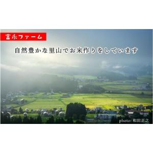 ふるさと納税 農家の手【お米定期便/全12回】...の詳細画像1