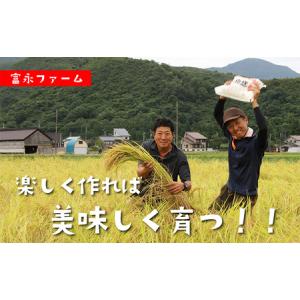 ふるさと納税 農家の手【お米定期便/全12回】...の詳細画像4