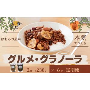 ふるさと納税 【6回定期便】グラノーラ 無添加 国産はちみつ使用【ノラノーラ ミケ&クロ】ココナッツ・ショコラ（大）2袋セット（230g.. 岡山県西粟倉村
