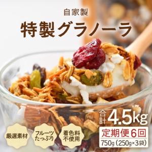 ふるさと納税 ＜定期便6回＞ 無添加 フルーツグラノーラ 250g×3袋 750g（計4.5kg）自家製 フルーツグラノーラ ／ 着色料不使用 オーガニ.. 福井県あわら市