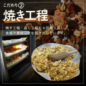 ふるさと納税 <定期便6回> 無添加 フルーツ...の詳細画像3
