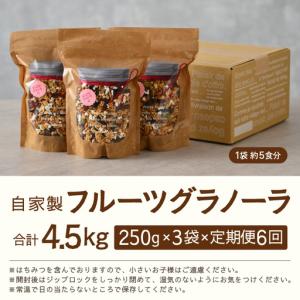 ふるさと納税 <定期便6回> 無添加 フルーツ...の詳細画像4