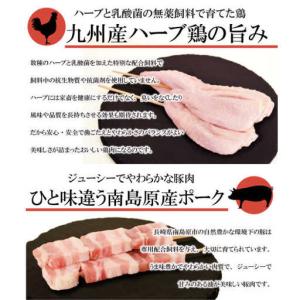 ふるさと納税 【6回定期便】【おうちで 焼き鳥...の詳細画像1