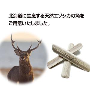 ふるさと納税 鹿の角 エゾシカ 犬のおもちゃ ...の詳細画像1