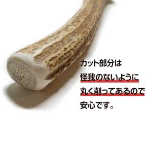 ふるさと納税 鹿の角 エゾシカ 犬のおもちゃ ...の詳細画像2