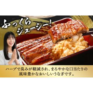 ふるさと納税 うなぎ 国産 宮崎 蒲焼 ハーブ...の詳細画像2