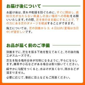 ふるさと納税 鹿児島県産<天然芝>姫高麗芝 2...の詳細画像4
