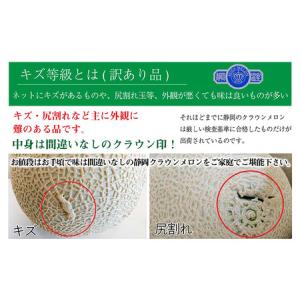 ふるさと納税 クラウンメロン 訳あり 青肉 静...の詳細画像1