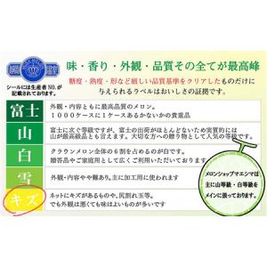 ふるさと納税 クラウンメロン 訳あり 青肉 静...の詳細画像2