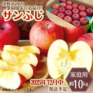 ふるさと納税 ◆2025年12月中発送◆りんご サンふじ家庭用 約10kg(24〜42玉)【1494...
