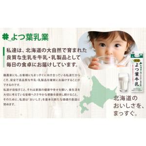 ふるさと納税 「よつ葉」贅沢チーズセット(9種...の詳細画像4
