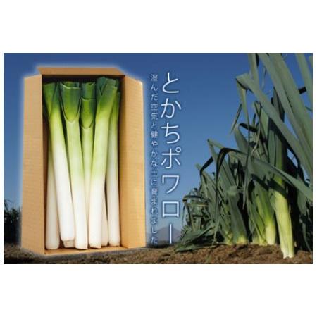 ふるさと納税 〔先行受付〕「たけなかファーム」とかちポワロー（リーキ、ポロネギ）【A50】《2025...