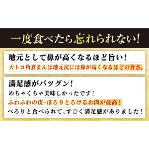 ふるさと納税 【3回定期便】長崎角煮まんじゅう...の詳細画像2