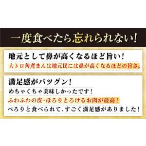 ふるさと納税 【1週間以内発送】角煮まんじゅう...の詳細画像2