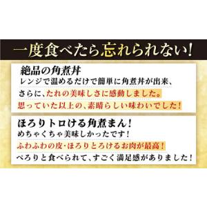 ふるさと納税 【12回定期便】長崎角煮まんじゅ...の詳細画像2