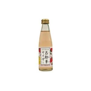 ふるさと納税 古都華サイダー24本セット 古都華 飲料 古都華 飲料 古都華 飲料 古都華 飲料 古都華 飲料 苺 いちご  U-42 奈良 なら 奈良県奈良市｜furunavi