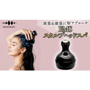 国内正規品】 TILLET ティレット ブラック イオン導入器 電気