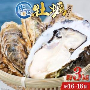 ふるさと納税  牡蠣 3〜4年モノ 生食 殻付き牡蠣 約3kg(約16-18個入)