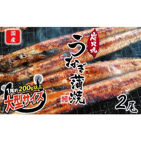 ふるさと納税 数量限定 国産 特大うなぎ 2尾 | 熊本県 うなぎ 和水町 ウナギ くまもと 鰻 な...