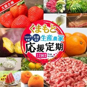 ふるさと納税 【 定期便 12回 】支援 企画 ！ くまもと 生産 農家 応援 定期便 ！ 肉 野菜 フルーツ 熊本県和水町