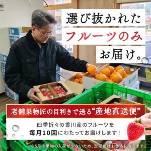ふるさと納税 【定期便10回Sサイズ】 フルー...の詳細画像1