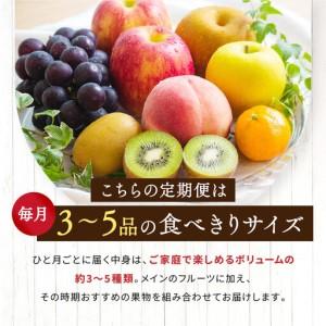 ふるさと納税 【定期便10回Sサイズ】 フルー...の詳細画像2