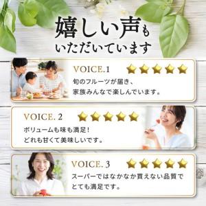 ふるさと納税 【定期便10回Sサイズ】 フルー...の詳細画像3