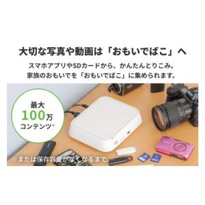 ふるさと納税 BUFFALO おもいでばこ 4...の詳細画像2