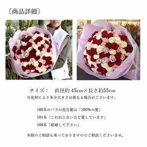 ふるさと納税 ミックスカラーバラ100本【 薔...の詳細画像2