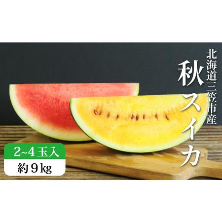 ふるさと納税 《2026年分受付中》秋に収穫される赤色スイカor黄色スイカ2〜4玉(約9kg)【01...