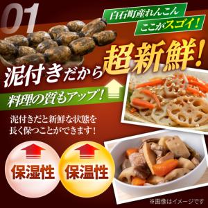 ふるさと納税 【先行予約 2026年10月〜発...の詳細画像2