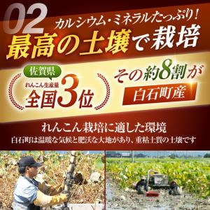 ふるさと納税 【先行予約 2026年10月〜発...の詳細画像3