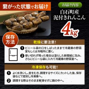 ふるさと納税 【先行予約 2026年10月〜発...の詳細画像4