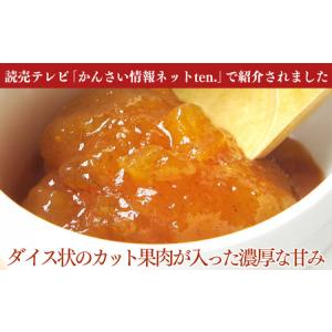 ふるさと納税 柿バター 柿ジャム 各 15本 ...の詳細画像3