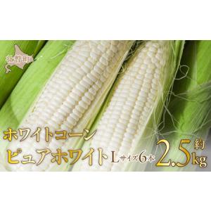 ふるさと納税 ＜2024年8月下旬よりお届け＞【朝採り】北海道壮瞥町産　ホワイトコーン「ピュアホワイト」Lサイズ以上6本（約2.5kg）【 ふるさと.. 北海道壮瞥町