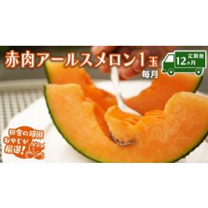 ふるさと納税 【定期便】 赤肉 アールスメロン 毎月1個 × 12か月 フルーツ 果物 茨城県つくばみらい市