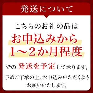 ふるさと納税 エスティ ローダー アドバンス ...の詳細画像1