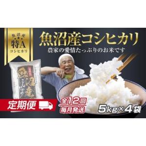 ふるさと納税 DH15 【定期便】 新潟県 魚沼産 コシヒカリ お米 20kg×計12回 精米済み 1年間 毎月発送 こしひかり（お米の美味しい炊き方ガイド付.. 新潟県