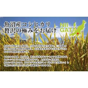 ふるさと納税 DH16 【定期便】 新潟県 魚...の詳細画像4