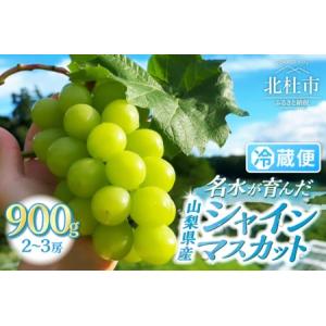 5-5 山梨県産　ぶどう　シャインマスカット 正味5キロ　家庭用 ぶどう シャインマスカット 山梨県」の人気商品一覧 | 安い商品を通販