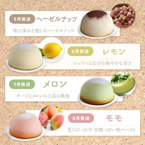 ふるさと納税 【12回 定期便 】 ケーキ チ...の詳細画像3