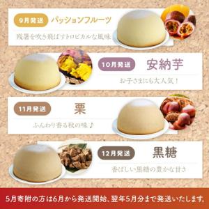ふるさと納税 【12回 定期便 】 ケーキ チ...の詳細画像4