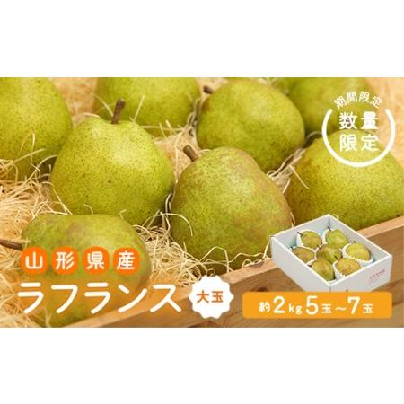 ふるさと納税 《先行予約 2024年度発送》【王将果樹園】ラフランス大玉2kg〜生産量日本一のまちよ...