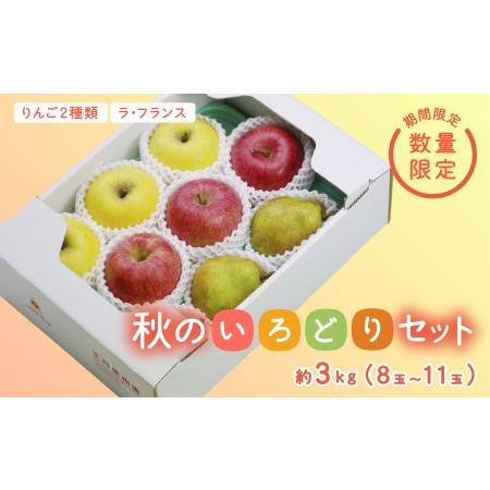 ふるさと納税 《先行予約 2024年度発送》【王将果樹園】秋のいろどりセット 3kg FSY-007...