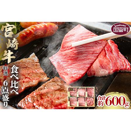 ふるさと納税 ＜宮崎牛特選食べ比べ6点盛り 合計約600g (約100g×6種)＞2か月以内に順次出...