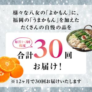 ふるさと納税 福岡・八女お楽しみプレミアム定期...の詳細画像1