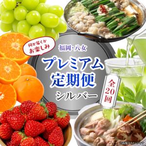 ふるさと納税 福岡・八女お楽しみプレミアム定期便【シルバー】全20回 ＜配送不可：北海道・沖縄・離島＞ フルーツ 定期便 福岡県 八女市 072-T0.. 福岡県八女市