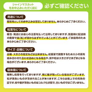 ふるさと納税 福岡・八女お楽しみプレミアム定期...の詳細画像2